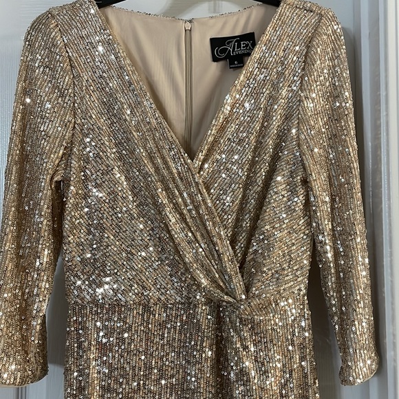 Alex Evenings Formal Gown🤩 - Picture 5 of 6